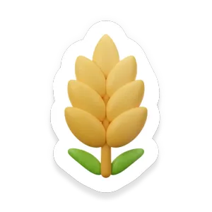 Einkorn