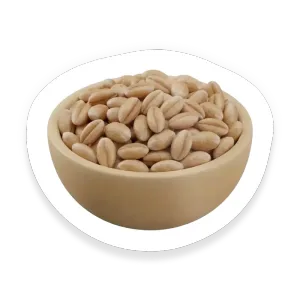 Farro (Emmer)