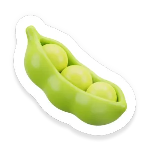 Fava Bean (Broad Bean)