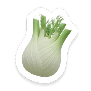 Fennel