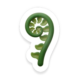 Fiddlehead Fern