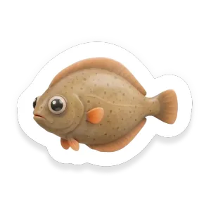 Flounder
