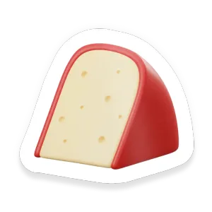 Fontina