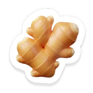 Ginger