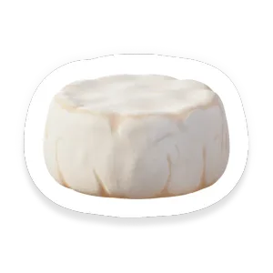 Goat Cheese