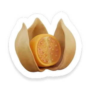 Goldenberry (Uchuva)