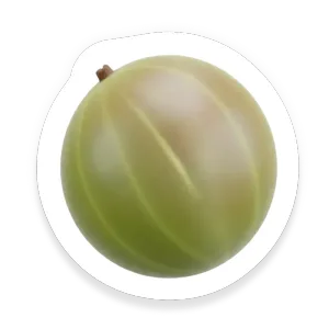 Gooseberry