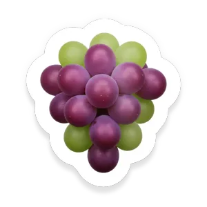 Grape