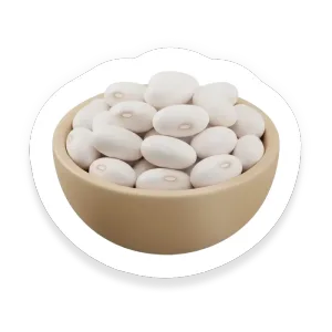 Great Northern Bean