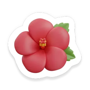 Hibiscus (Sorrel)