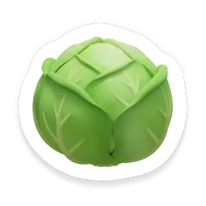 Iceberg Lettuce