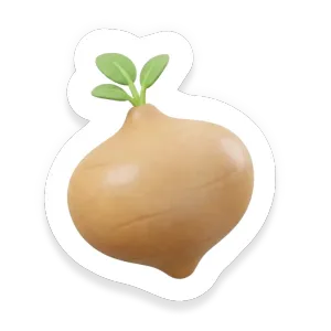 Jicama