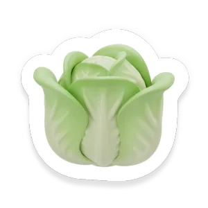 Lettuce