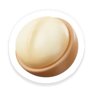 Macadamia Nut