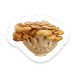 Maitake (Hen-of-the-Woods)