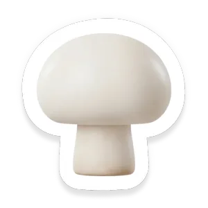 White Button Mushroom