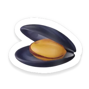Mussels