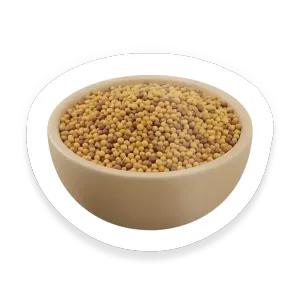 Mustard Seed