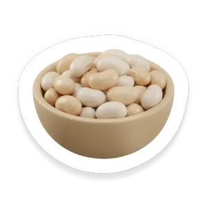 Navy Bean