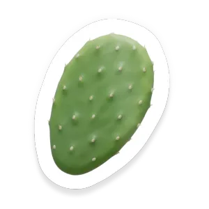 Nopales (Prickly Pear Cactus)
