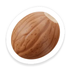 Nutmeg