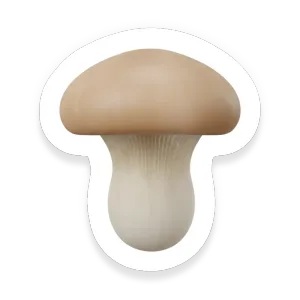 Oyster Mushroom