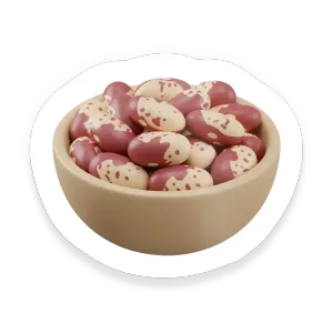 Pinto Bean