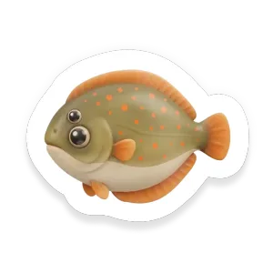 Plaice