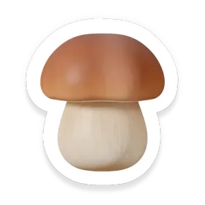 Porcini Mushroom