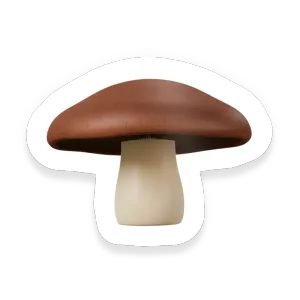 Portobello (Portabella) Mushroom