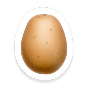 Potato