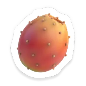Prickly Pear (Cactus Fruit)