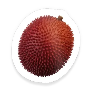 Pulasan
