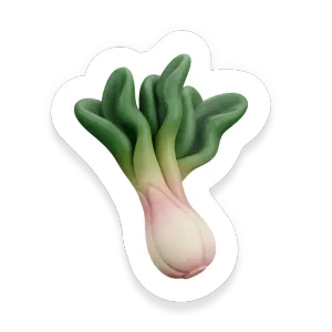 Ramps