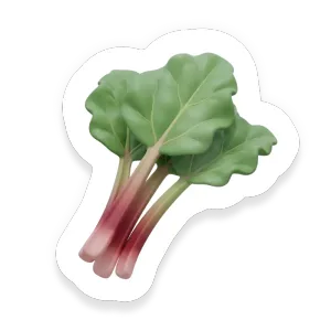 Rhubarb