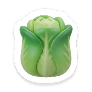 Romaine