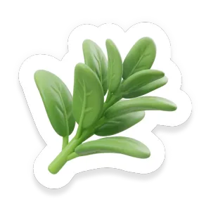 Sage