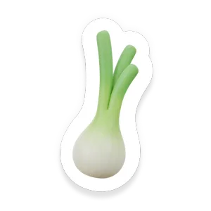 Scallion (Green Onion)
