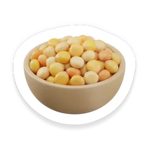 Sorghum
