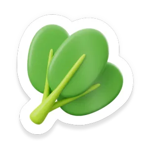 Spinach