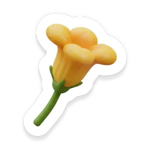 Squash Blossoms