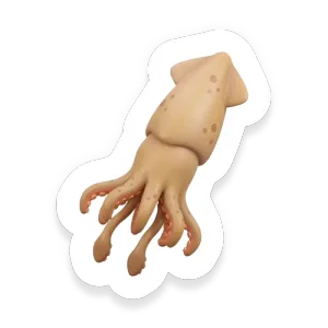 Squid