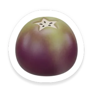 Star Apple (Caimito)