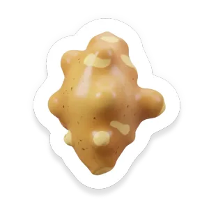 Sunchoke (Jerusalem Artichoke)