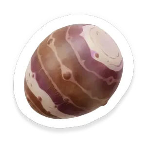 Taro
