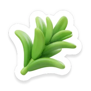 Tarragon