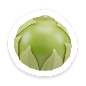 Tomatillo