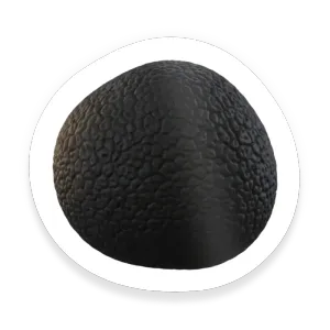 Truffle