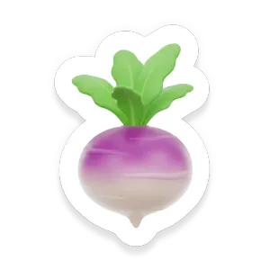 Turnip