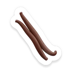 Vanilla